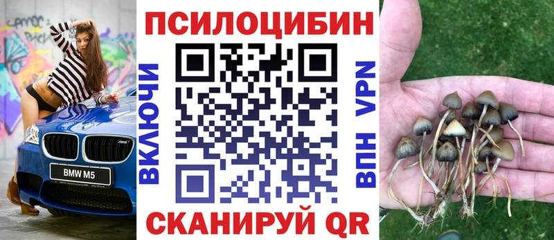 Псилоцибиновые грибы мухоморы  блэк спрут зеркало  Сегежа 